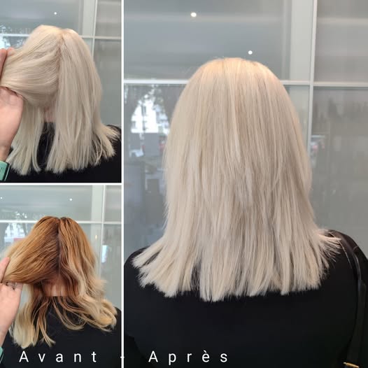 498670988_1301053568690666_4547750349760268142_n